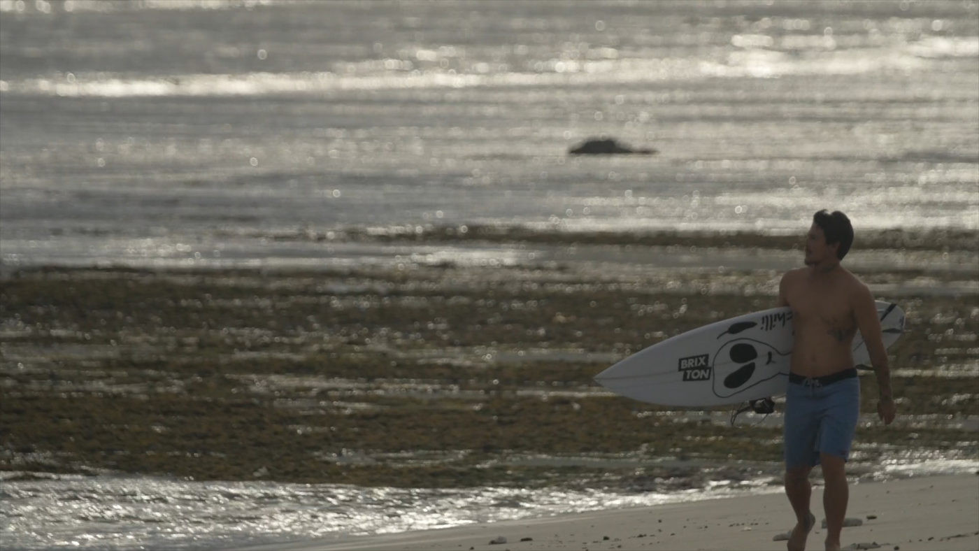 Chiili surfboards